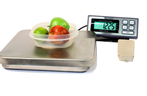 PIZA Bench Scale