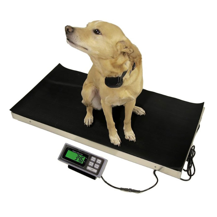 Veterinary scale